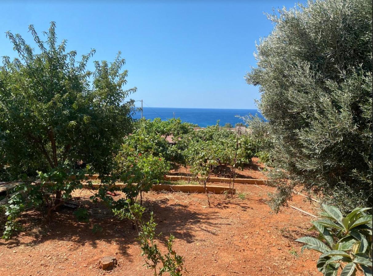 Vine Veranda Palaiochora Exteriér fotografie