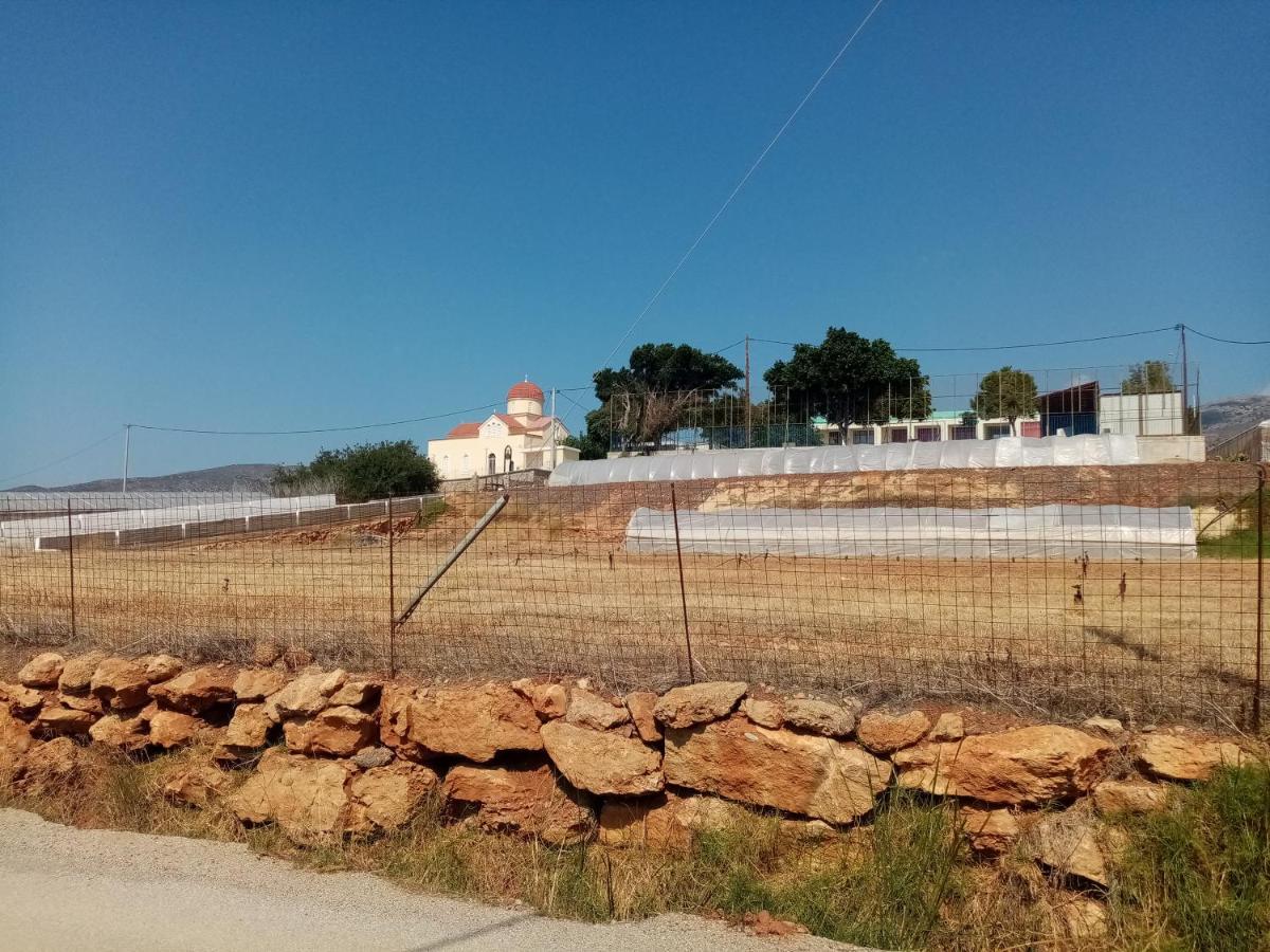 Vine Veranda Palaiochora Exteriér fotografie